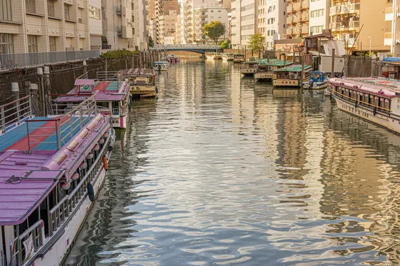 Pleasure boats moored along a canal, the water holding the light